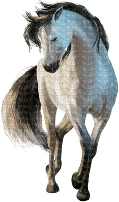 cheval.Cheyenne63 - PNG gratuit