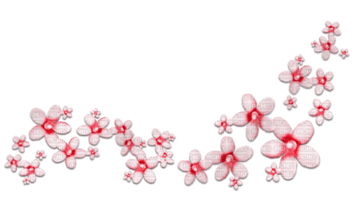 Red white flowers deco [Basilslament] - PNG gratuit