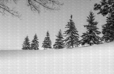 minou-winter-snow - zdarma png