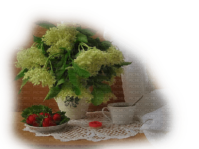 patymirabelle fleurs, fraises - Free PNG