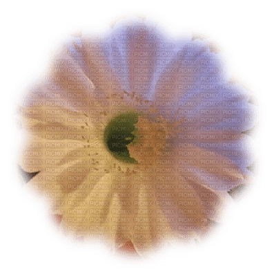 fleur 8 - darmowe png