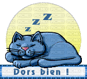 chat idca - Free animated GIF