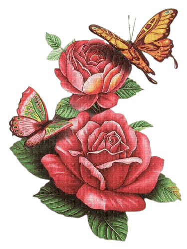 red roses vintage  with butterfly - PNG gratuit