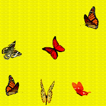 Порхающие бабочки - Ilmainen animoitu GIF