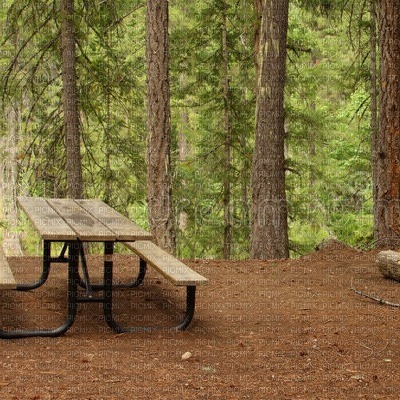 Forest Picnic Area - kostenlos png