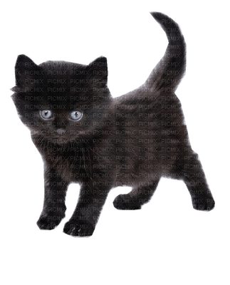 chat - kostenlos png
