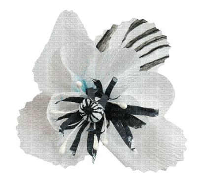 fleur blanche.Cheyenne63 - ücretsiz png