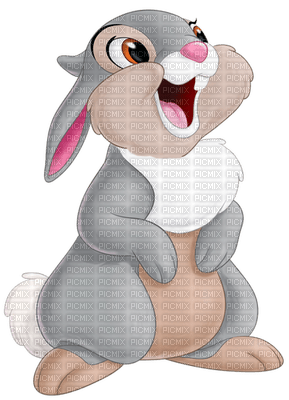 Kaz_Creations Cartoons Cartoon Thumper - безплатен png