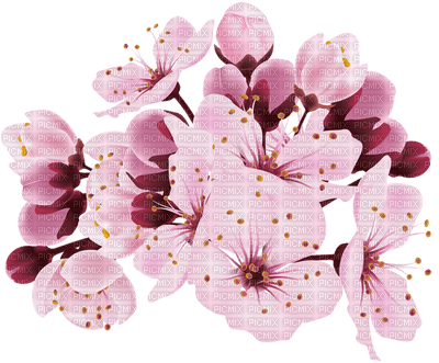 Flores - png grátis