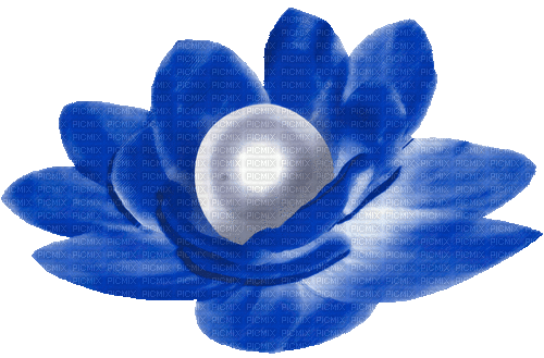 Animated.Flower.Pearl.Blue - By KittyKatLuv65 - Ingyenes animált GIF