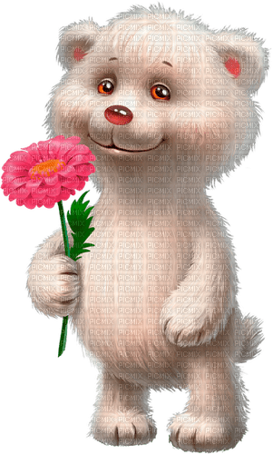 bear  by nataliplus - Free PNG