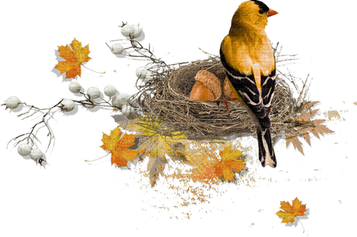 kikkapink autumn bird leaves - фрее пнг