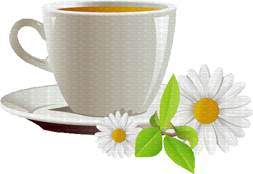 Tasse, Blumen - Gratis geanimeerde GIF