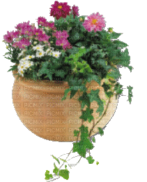 Blumentopf - Gratis geanimeerde GIF
