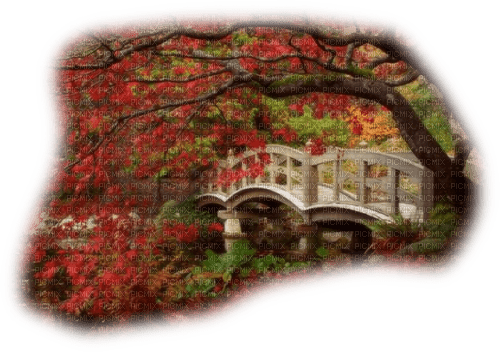 Background Herbst - png ฟรี