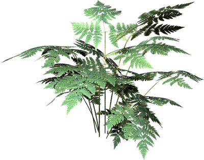 plants katrin - 無料png