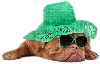 Kaz_Creations Dog Pup Dogs 🐶 - kostenlos png