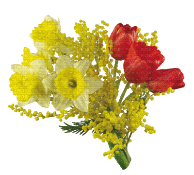 fleurs - Gratis geanimeerde GIF