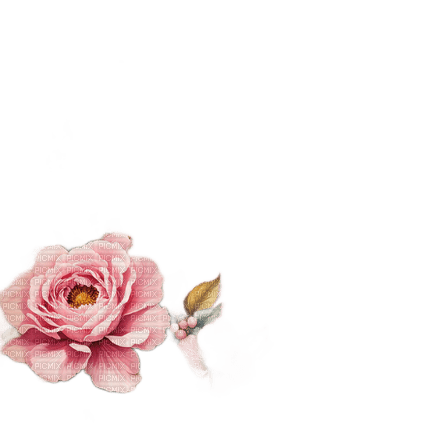 springtimes flower pink - PNG gratuit