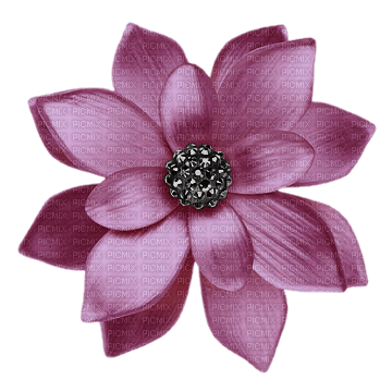 purple-flower-blomma-minou52 - png gratis