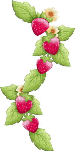 Strawberry Red Green Yellow Charlotte - Bogusia - бесплатно png