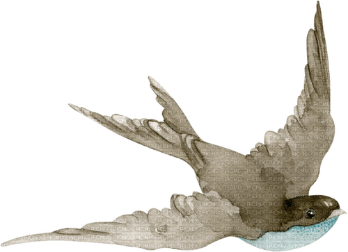dolceluna autumn bird - PNG gratuit