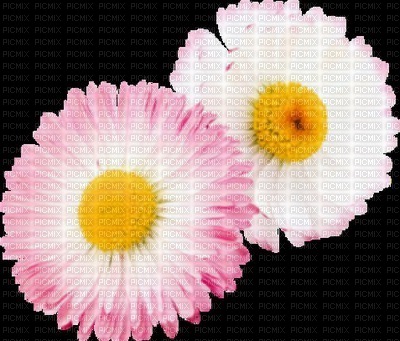 image encre color edited fleurs by me - zdarma png