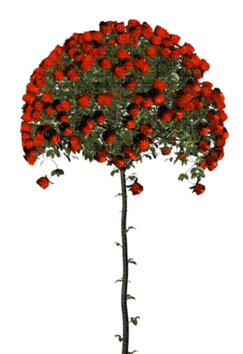 Kaz_Creations Deco Flowers Flower Colours Trees Tree - бесплатно png