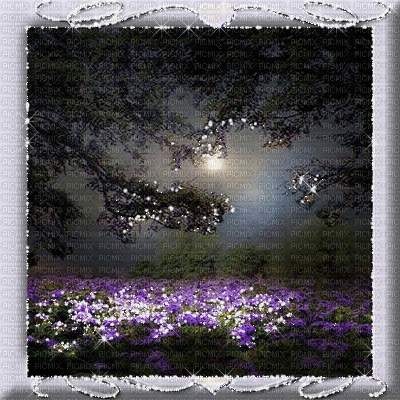 kikkapink spring background night moon - Бесплатный анимированный гифка
