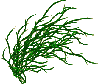Tube Plante Verte - Darmowy animowany GIF
