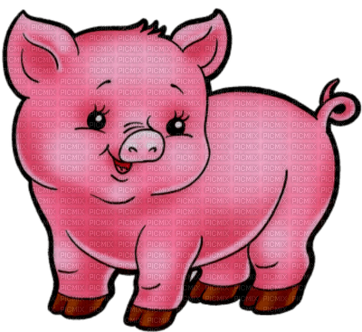 pig by nataliplus - бесплатно png