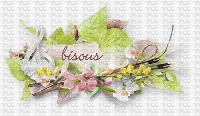 bisous fleurs - png ฟรี