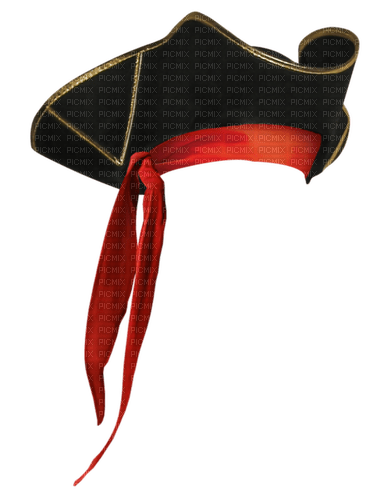 Sombrero de pirata - darmowe png