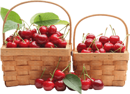 cherry basket Bb2 - gratis png