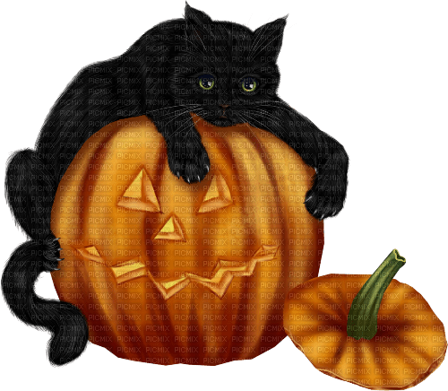 nbl-halloween cat - PNG gratuit