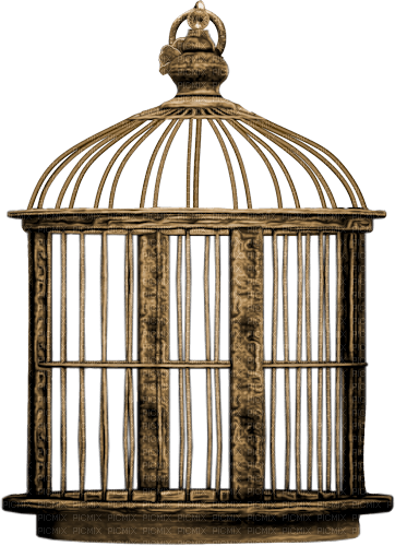 vintage cage png kikkapink - besplatni png