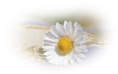 Kaz_Creations Paysage Scenery Deco Flowers - png gratis