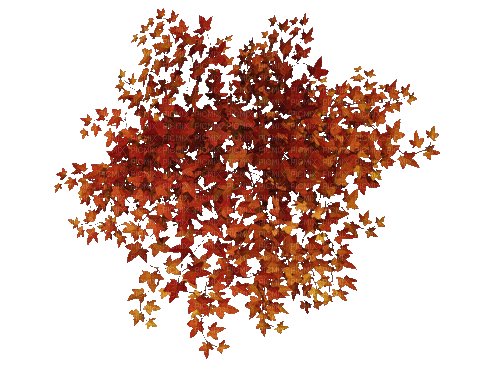 autumn leaves gif automne feuilles - Darmowy animowany GIF