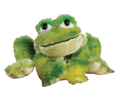 Webkinz Tie-Dye Frog Plush - PNG gratuit