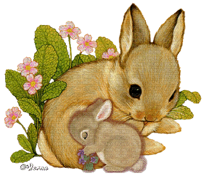 Mother and Baby Bunny - Nemokamas animacinis gif