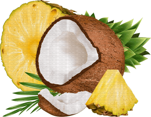 tropical fruit Bb2 - ücretsiz png