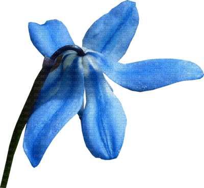 Kaz_Creations  Deco Baby Blue Flower - ingyenes png