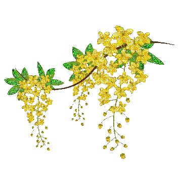 hanging flowers - 免费动画 GIF