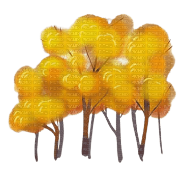arbre dessin - PNG gratuit