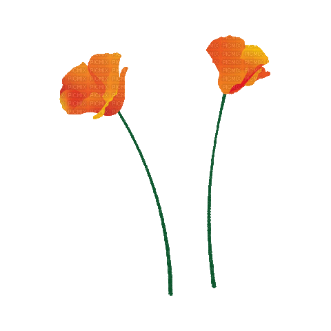 Orange.Fleurs.Flowers.gif.Victoriabea - Бесплатный анимированный гифка