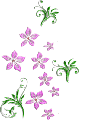 flores*kn* - zadarmo png
