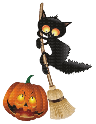Halloween  Pumkin cat - PNG gratuit