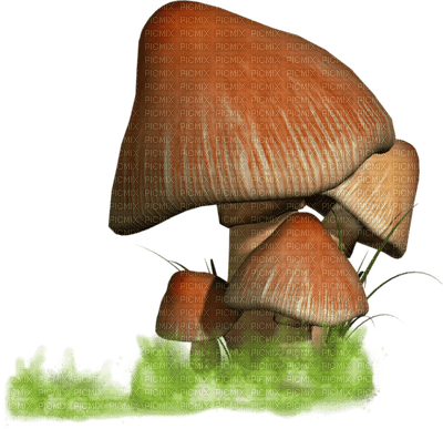 Champignons ** - Free PNG