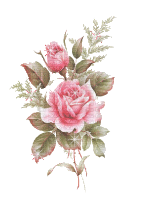 roses -c - Zdarma animovaný GIF