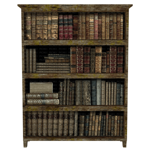 biblioteca  dubravka4 - PNG gratuit